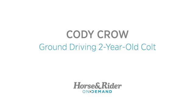 Ground Driving Young Horse