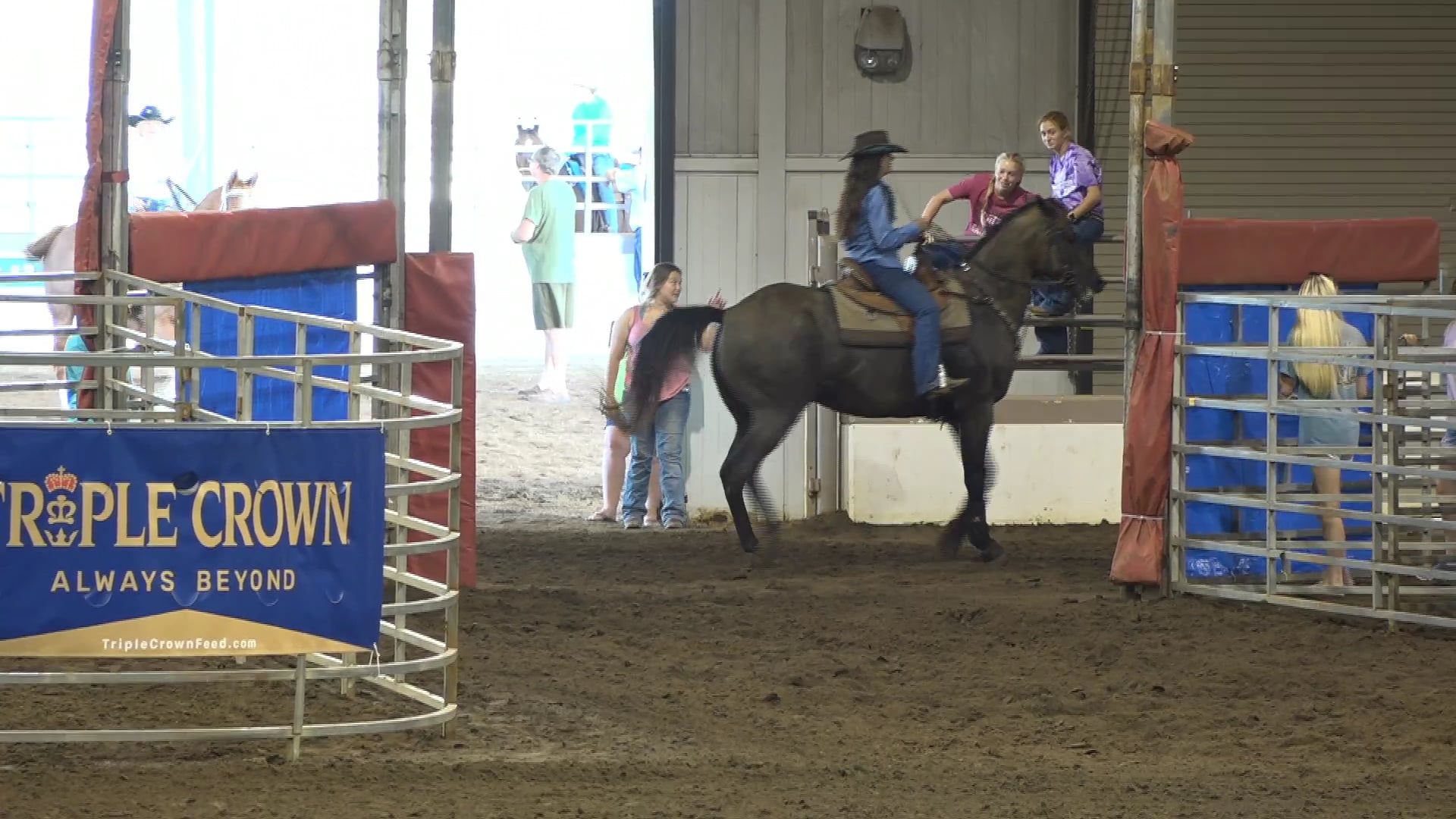 2019 NBHA GA Op1 #421-425