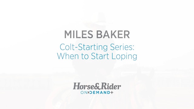 Colt-Starting Series: When to Start Loping