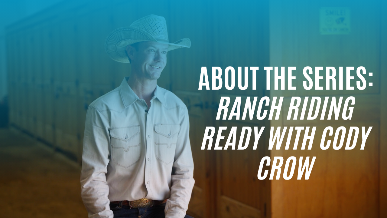 Cody Crow: About the Series