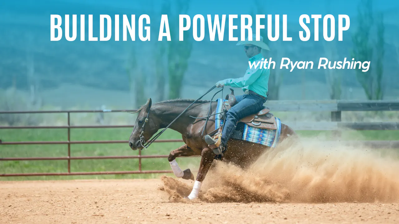 Building a Powerful Stop - Build the Pattern: Reining Fundamentals to ...