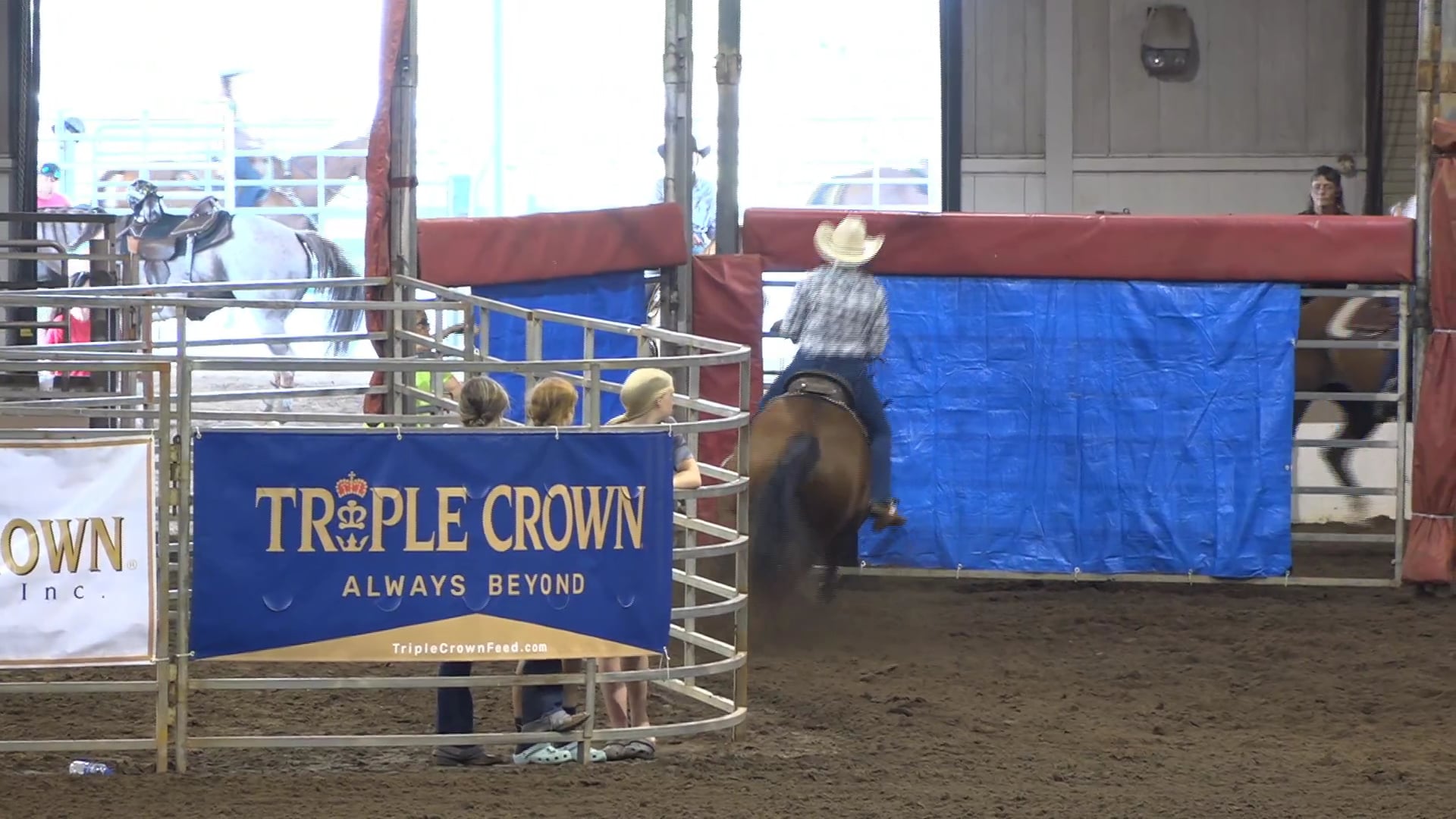 2019 NBHA GA Op2 #330-326