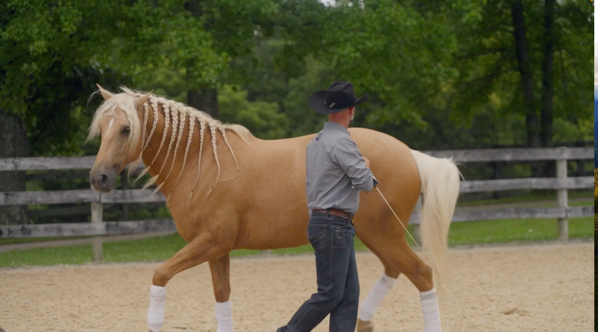 Art of Dance brought to you by Boehringer Ingelheim