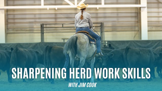 Sharpening Herd Work Skills with Jim ...