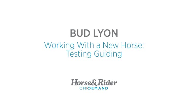 Working With a New Horse: Guiding