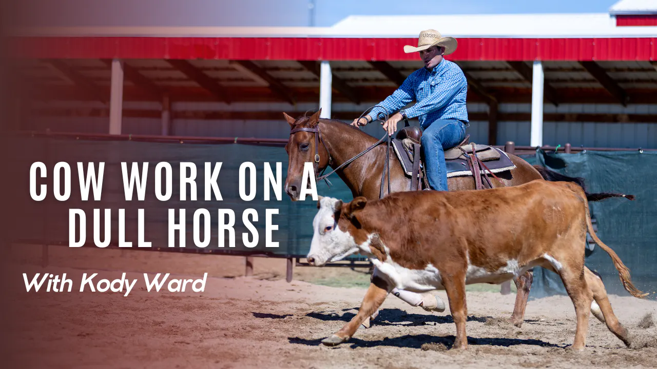 Rev Cow Ride Comp Cow Work on a Dull Horse - Sorting Smart with Kody Ward - RIDE TV