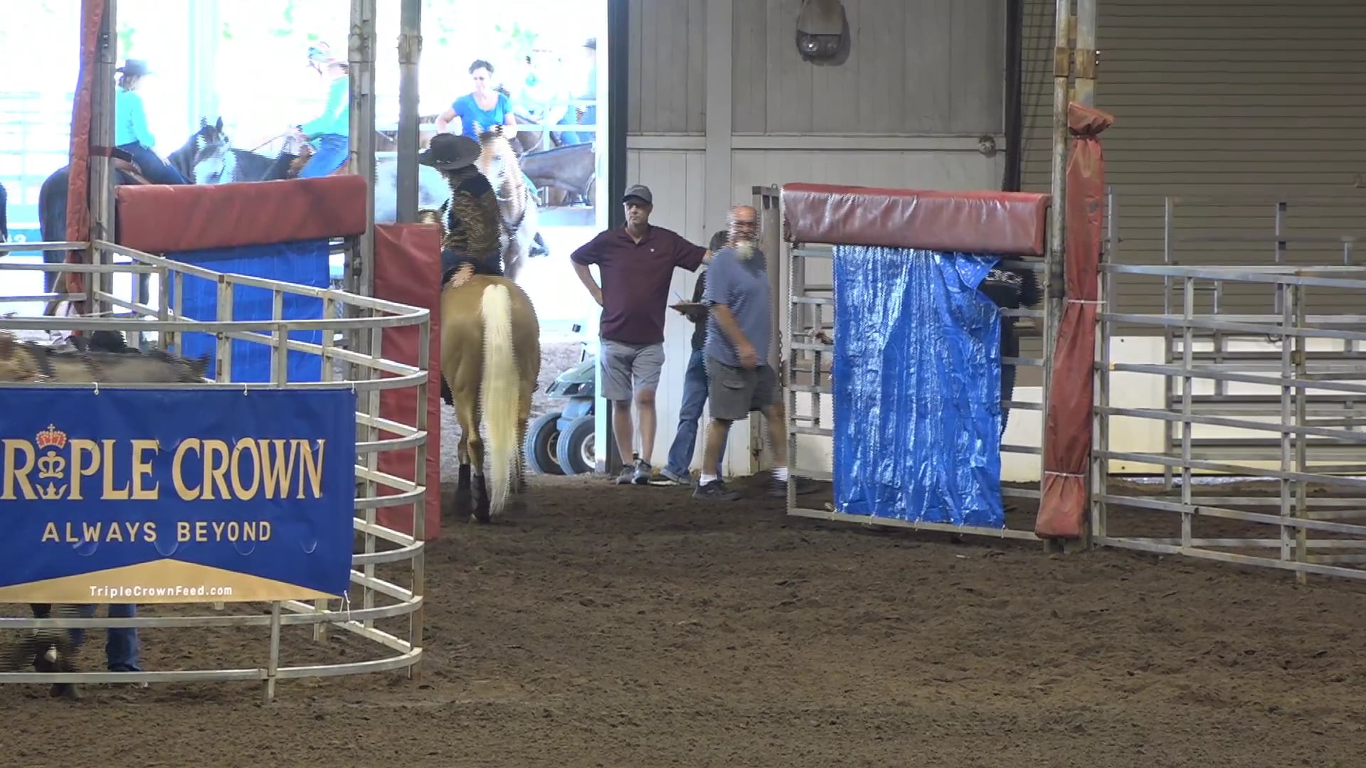 2019 NBHA GA Op1 #211-215