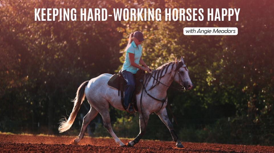 Angie Meadors: Keeping Hard-Working Horses Happy