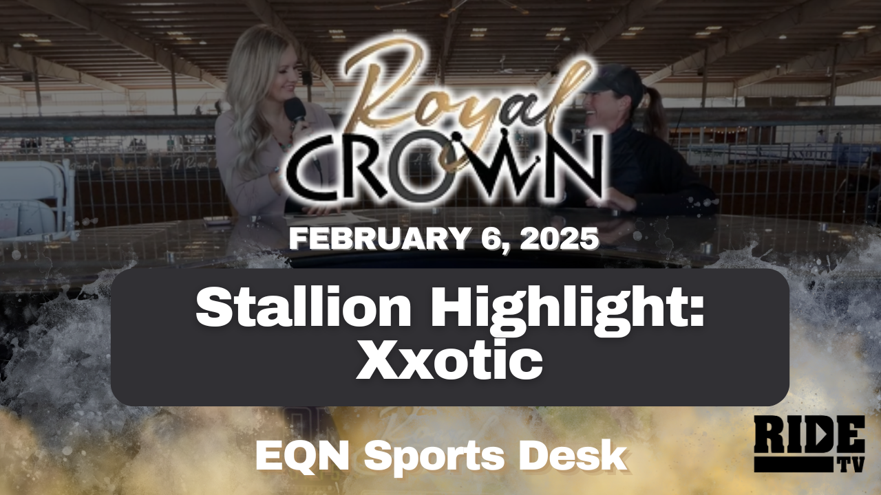 Stallion Highlight: Xxotic | Royal Crown Futurity | February 6, 2025