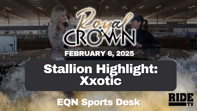 Stallion Highlight: Xxotic | Royal Cr...