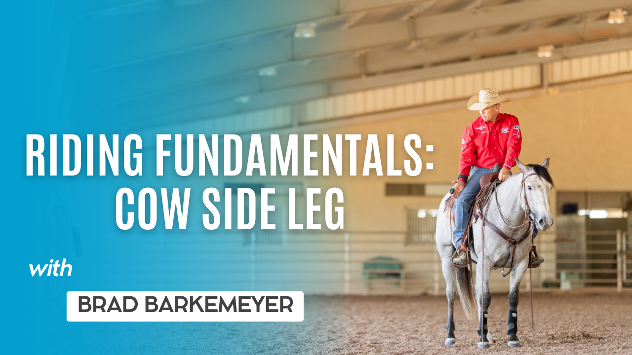 Riding Fundamentals: Cow Side Leg
