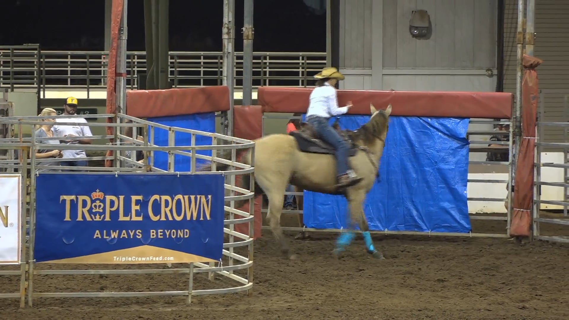 2019 NBHA GA Sr #076-080