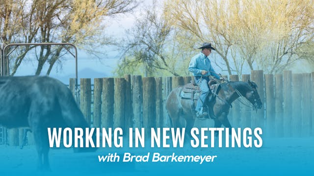 Working in New Settings