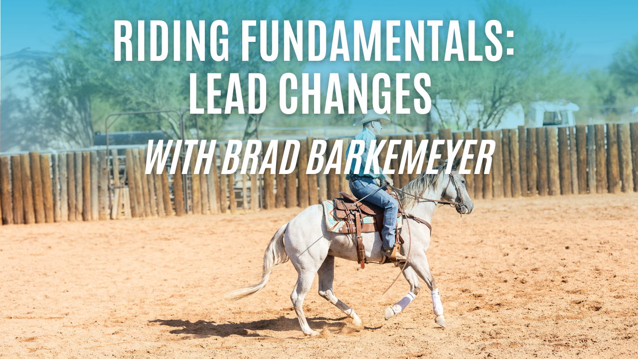 Riding Fundamentals: Lead Changes