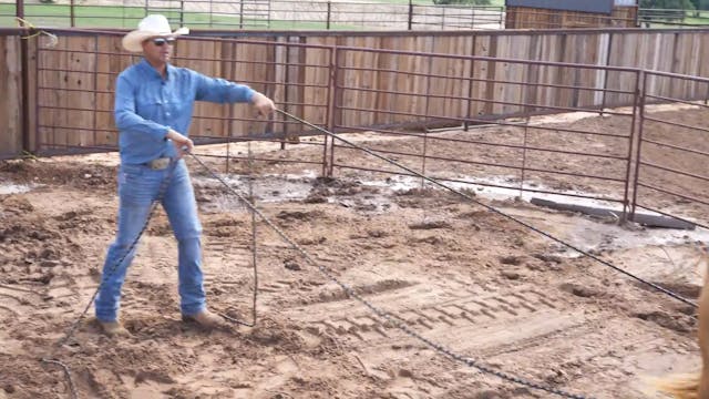 Working a 2-Year-Old on Driving Lines