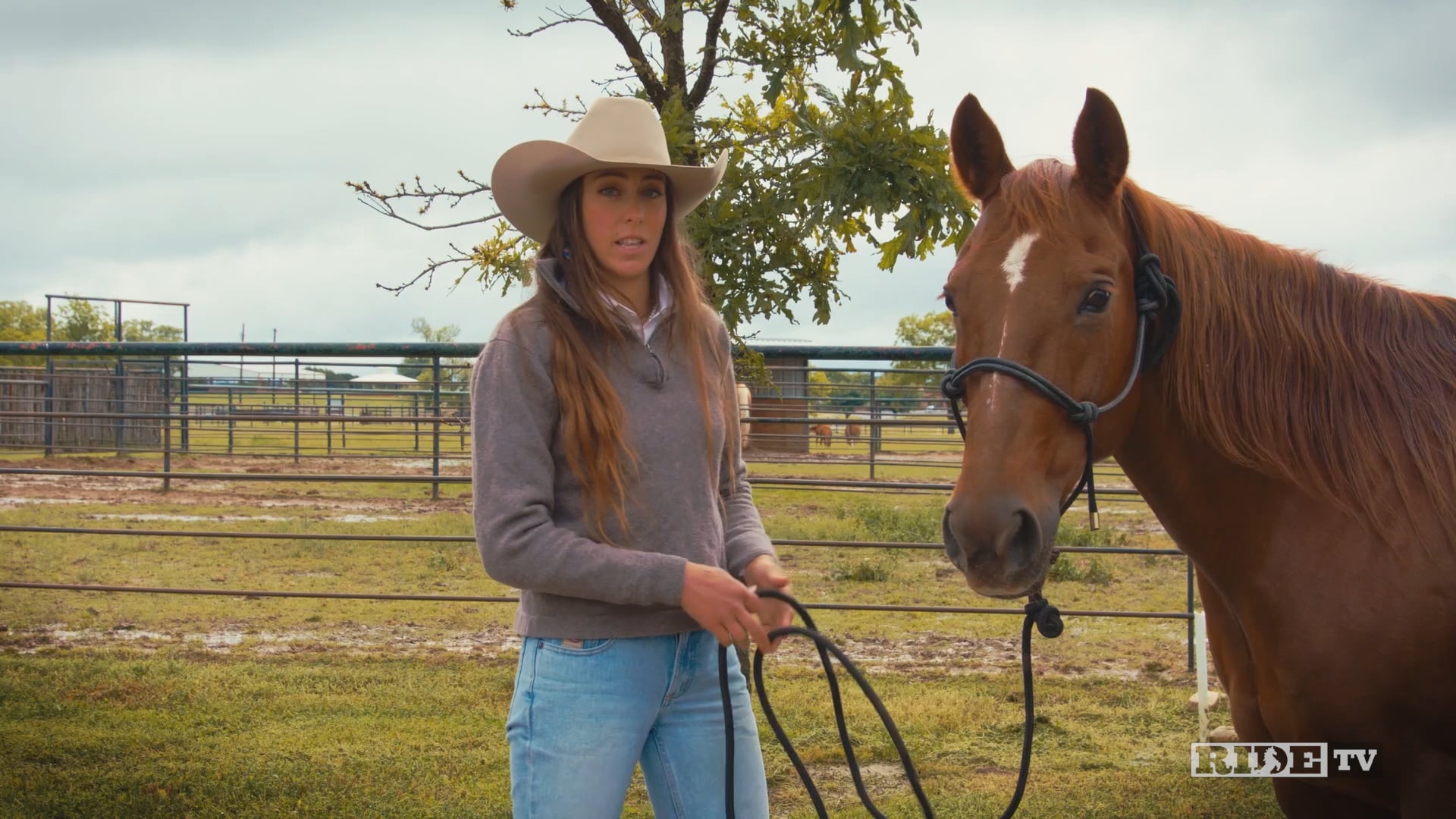 Horsemanship with Sarah Brown: Trailer Tips