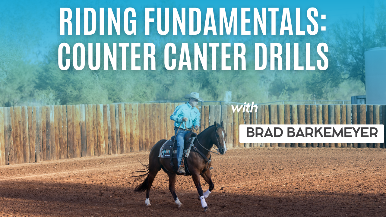 Riding Fundamentals: Counter Canter Drills