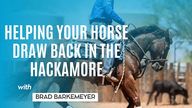 Helping Your Horse Draw Back in the H...