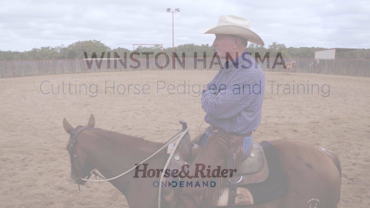 Cutting Horse Pedigree and Training - RIDE TV