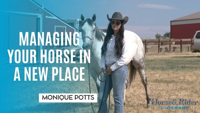 Managing Your Horse in a New Place