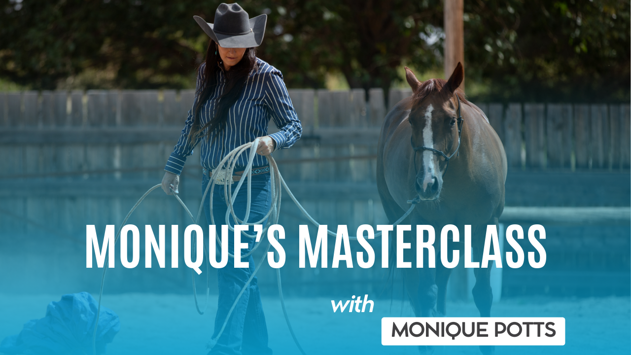Monique's Masterclass with Monique Potts