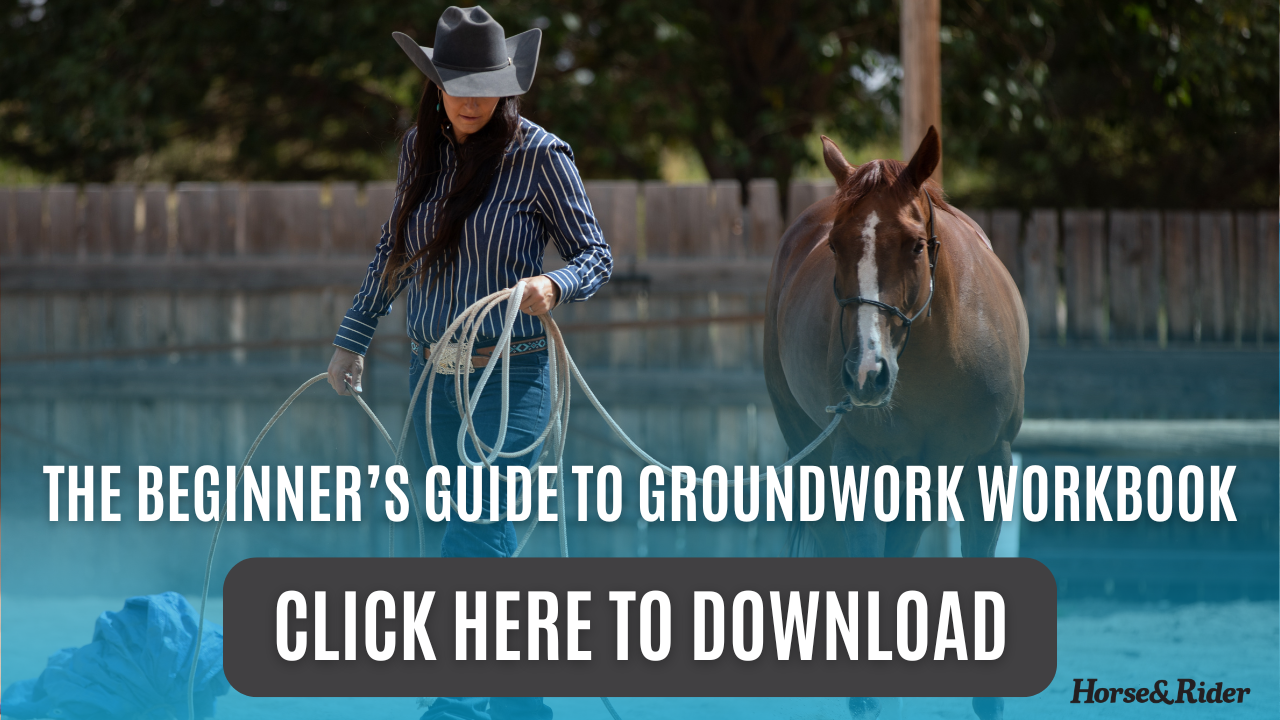The Beginner’s Guide to Groundwork Workbook