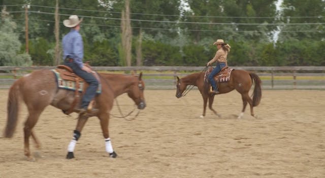 Introduction to Ranch Riding: Working...
