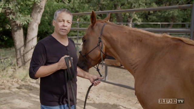 Horsemanship with Eddie Rodriguez - N...