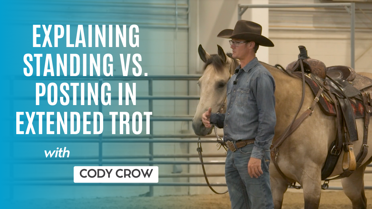 Explaining Standing vs. Posting in Extended Trot