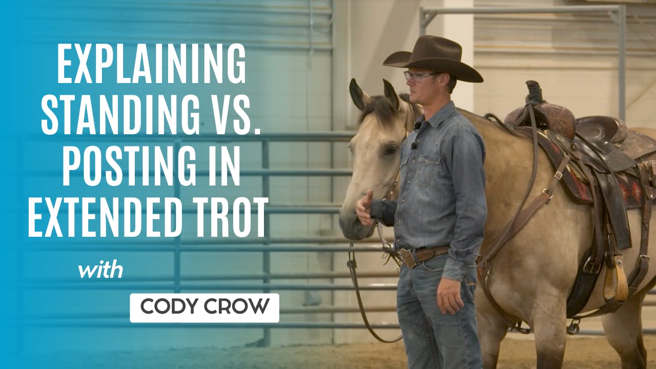 Posting Riding Explaining Standing vs. Posting in Extended Trot - RIDE TV