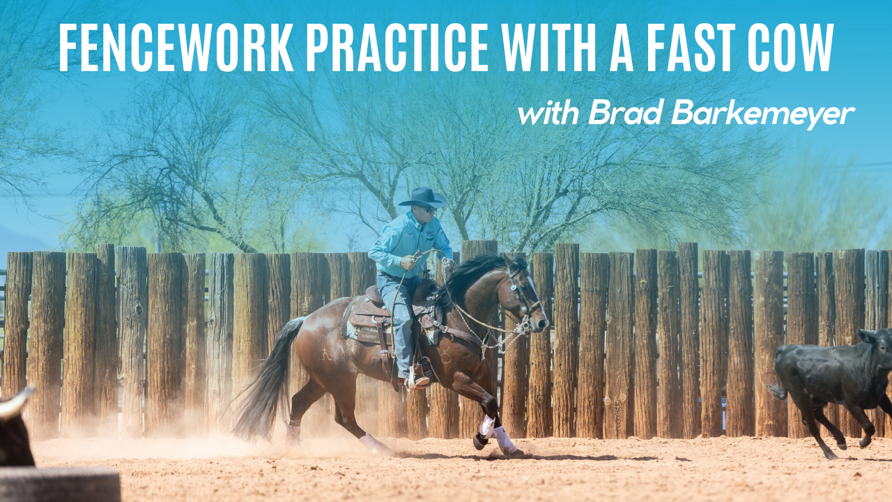 Fencework Practice With a Fast Cow with Brad Barkemeyer