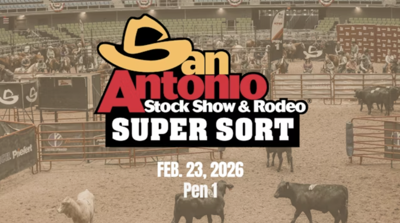 #12 HC | Cinch RSNC San Antonio Stock Show & Rodeo Super Sort | Pen 1 | 2/23/26
