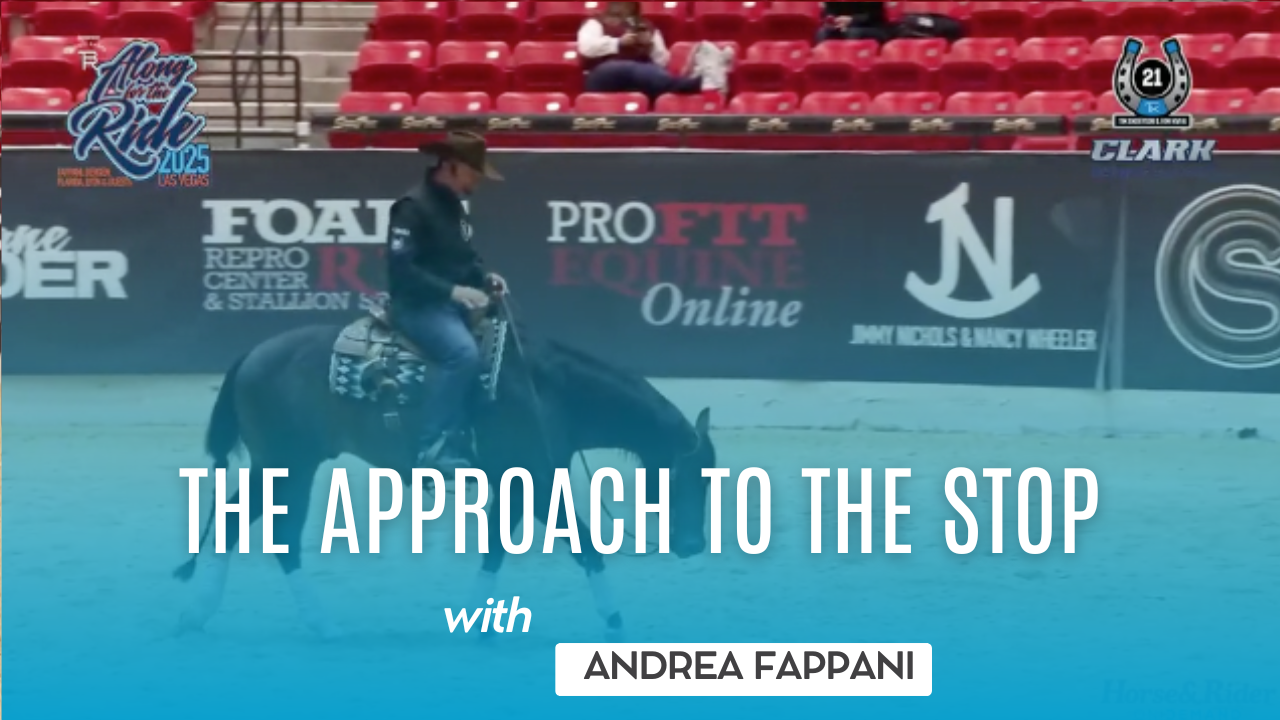 Andrea Fappani: The Approach to the Stop