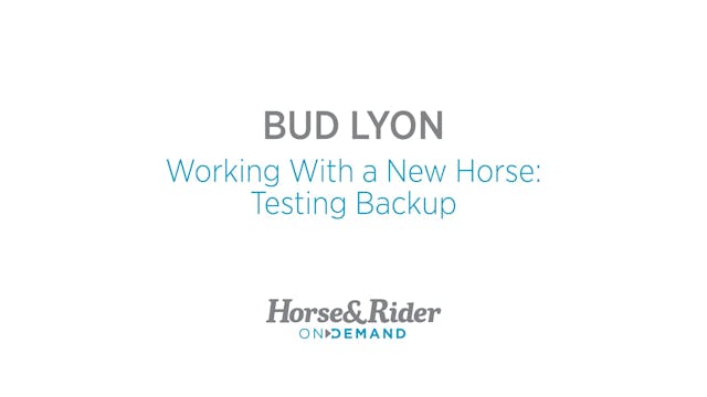 Working With a New Horse:Testing Back Up
