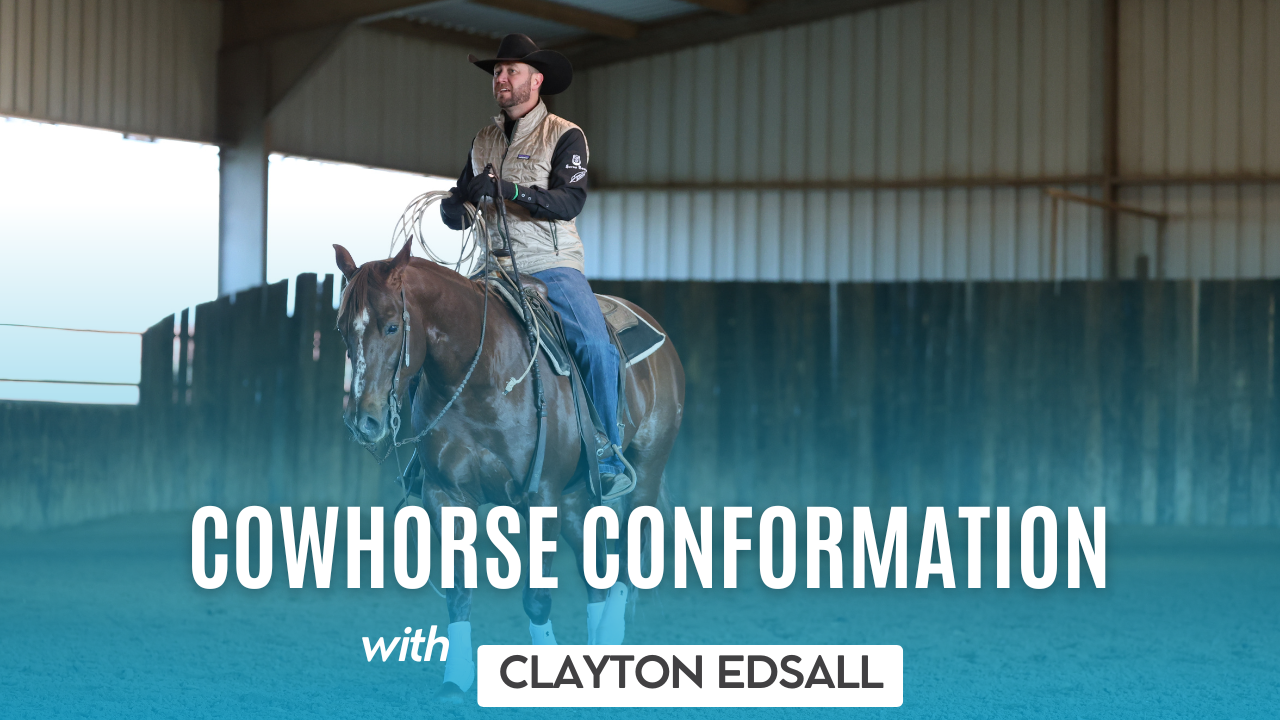  Cowhorse Conformation with Clayton Edsall