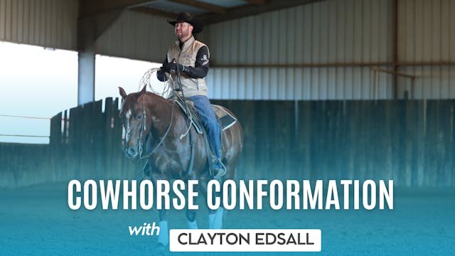  Cowhorse Conformation with Clayton E...