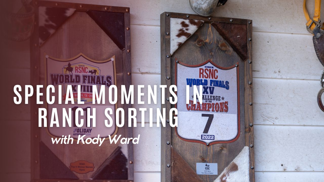 Special Moments in Kody Ward's Career