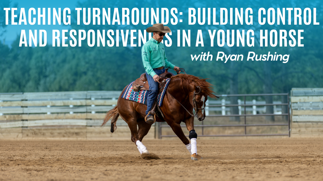 Teaching Turnarounds: Building Control and Responsiveness in a Young Horse