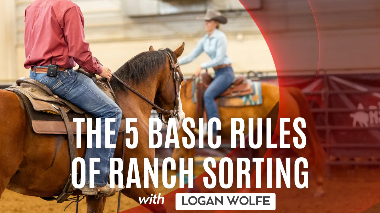 The 5 Basic Rules of Ranch Sorting - Logan Wolfe - RIDE TV