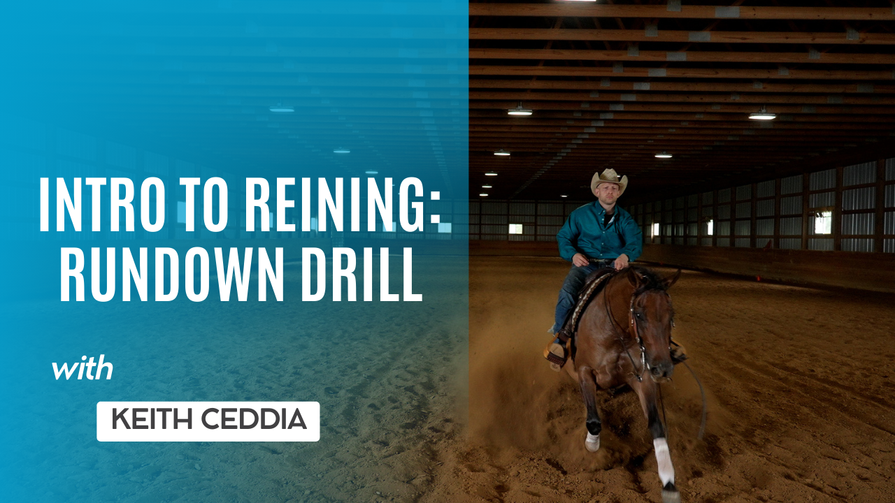Intro to Reining: Rundown Drill