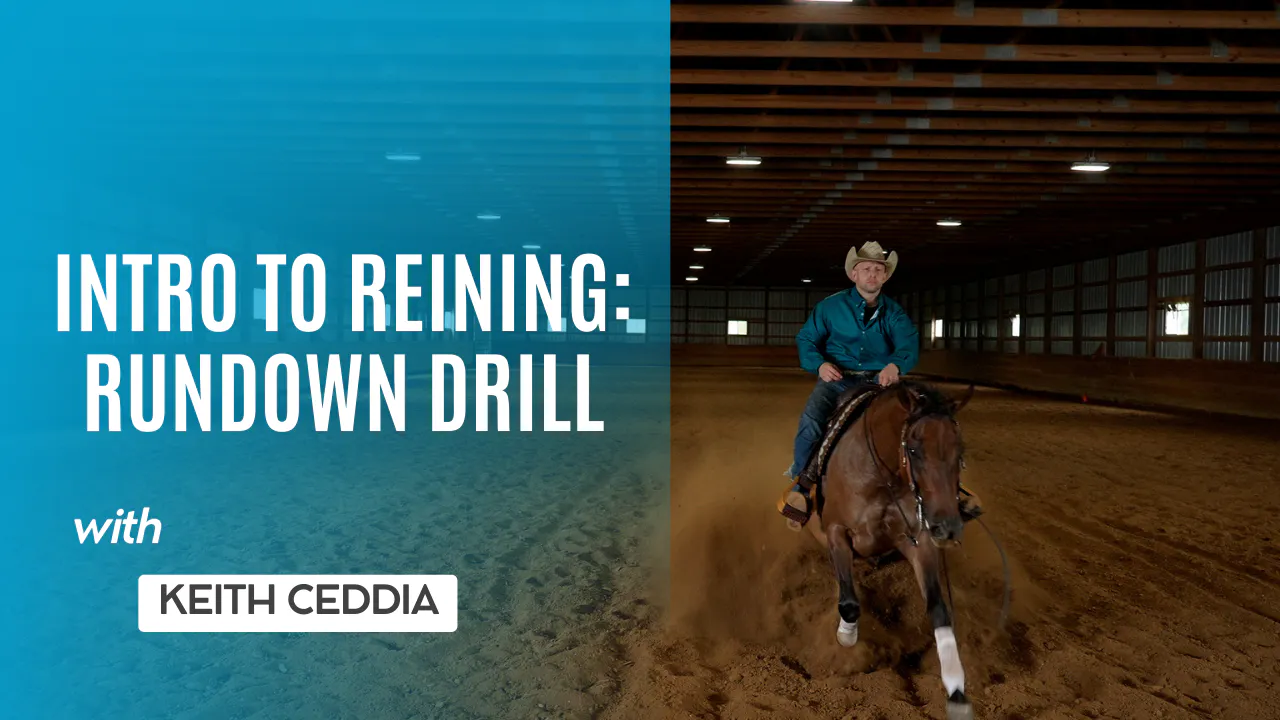 Intro to Reining: Rundown Drill - RIDE TV
