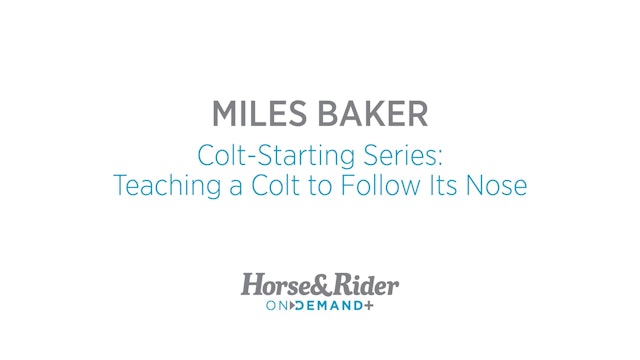ColtStarting Series:Teaching a Colt to Follow Its Nose