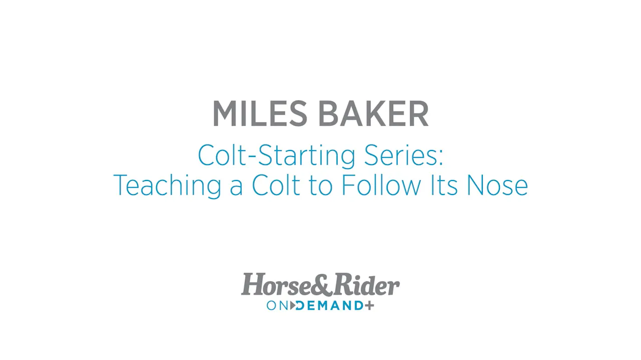 ColtStarting Series:Teaching a Colt to Follow Its Nose - Colt Starting ...