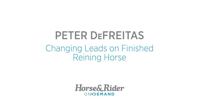 Changing Leads on Finished Reining Horse