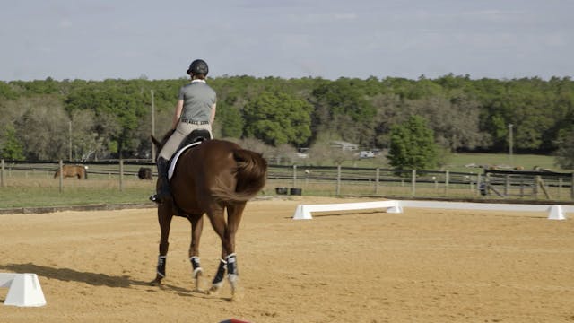 Western Dressage Rider Biomechanics -...