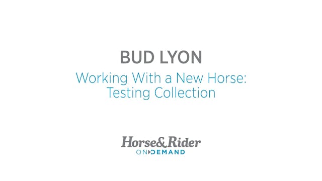 Working With a New Horse: Testing Col...