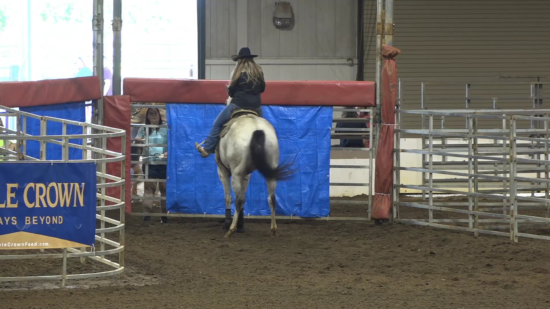 2019 NBHA GA Op2 #285-281