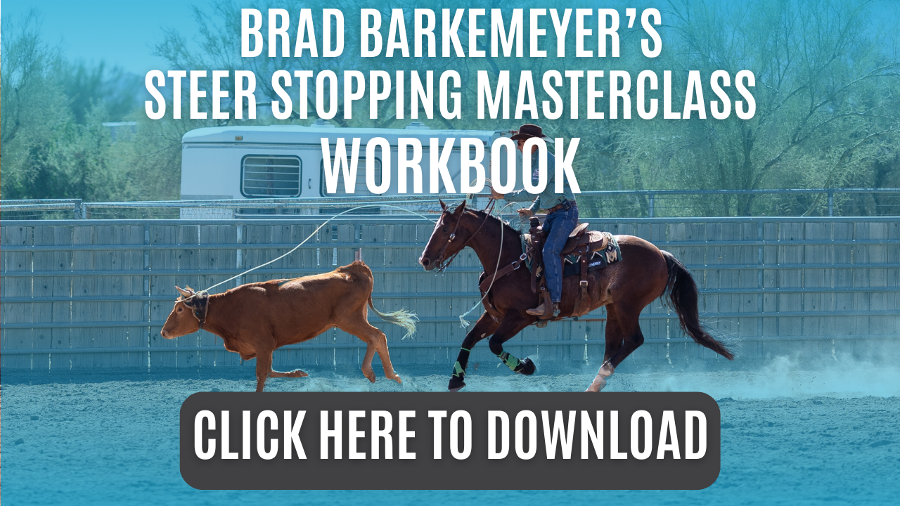 Brad Barkemeyer's Steer Stopping Masterclass Workbook