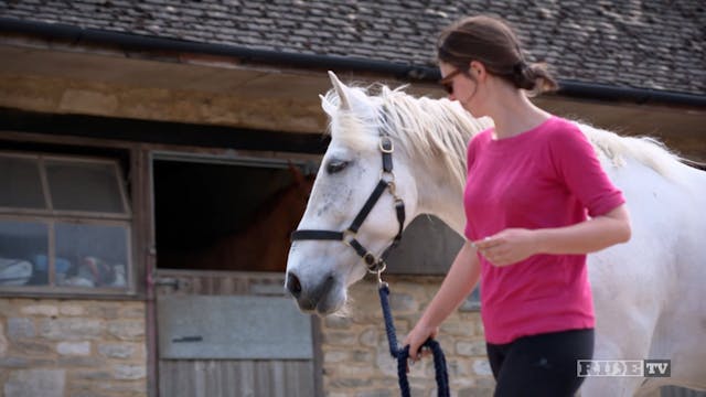 Equestrian World Shorts- Equine Thera...