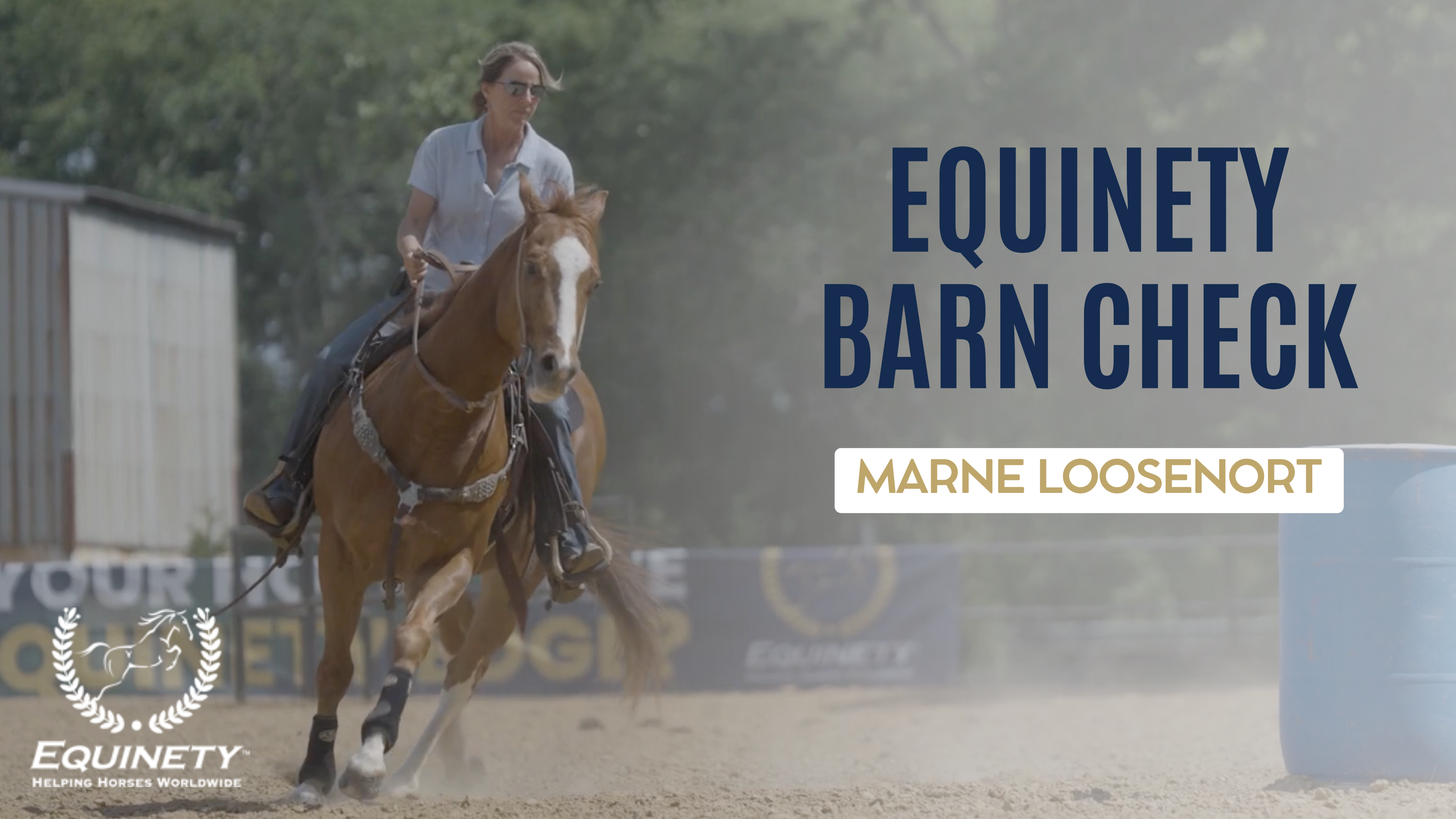 Marne Loosenort Equinety Barn Check